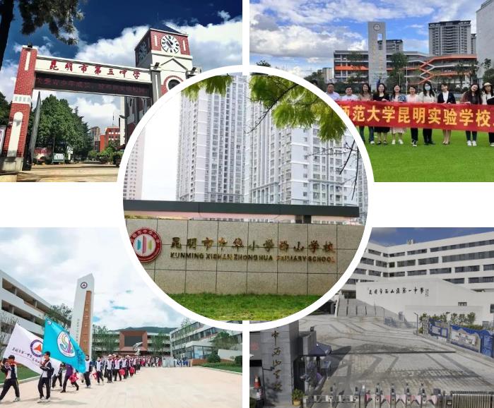 昆明市西山区教育体育局下属事业单位公开招聘2024届部属师范大学公费师范生公告