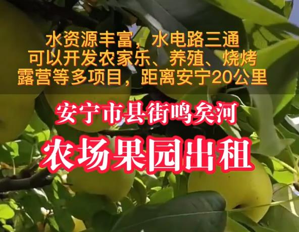 安宁市县街鸣矣河农场果园出租