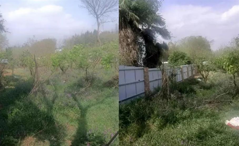 安宁普河村委会清水沟场地出租