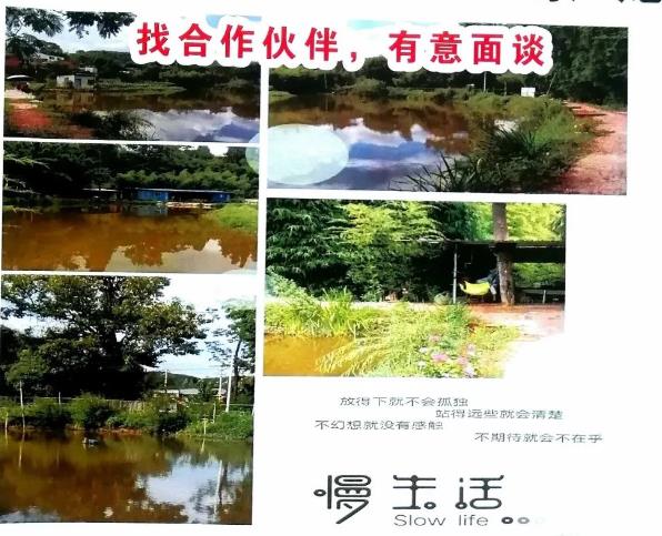 安宁竹林生态园转让或寻合作