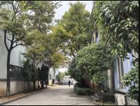 杨林工业园10000㎡标准厂房出租