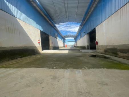 直租|嵩明杨林嘉丽泽农场 4000㎡厂房(可分租)