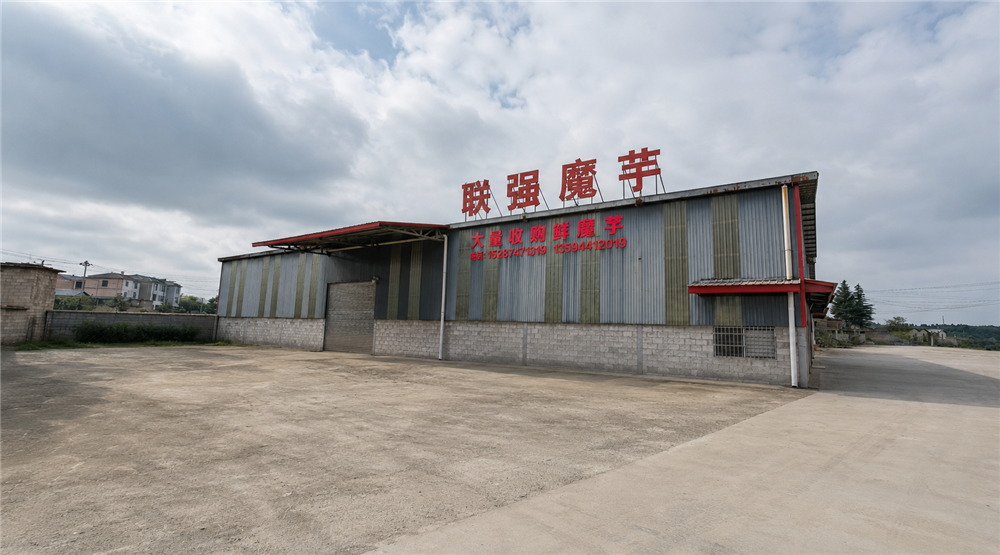 曲靖罗平阿岗镇2500-3000㎡空厂房出租,原魔芋加工厂,三相电水排污齐全