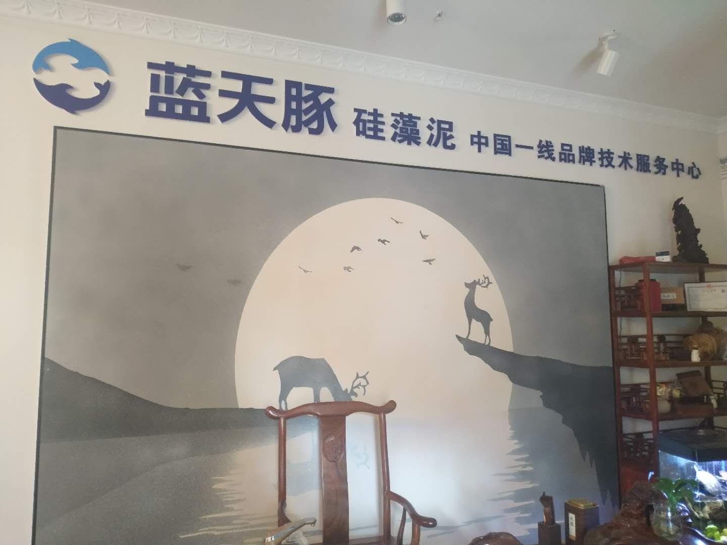 曲靖市麒麟区蓝天豚硅藻泥销售中心的图标