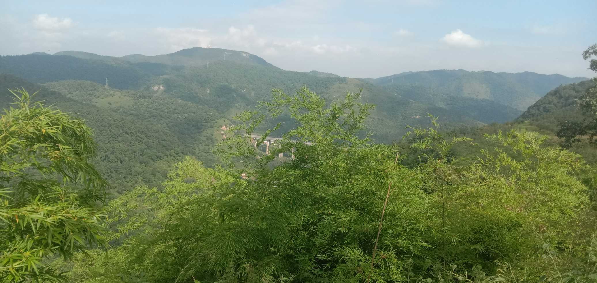 临沧前顺商贸有限公司的图标